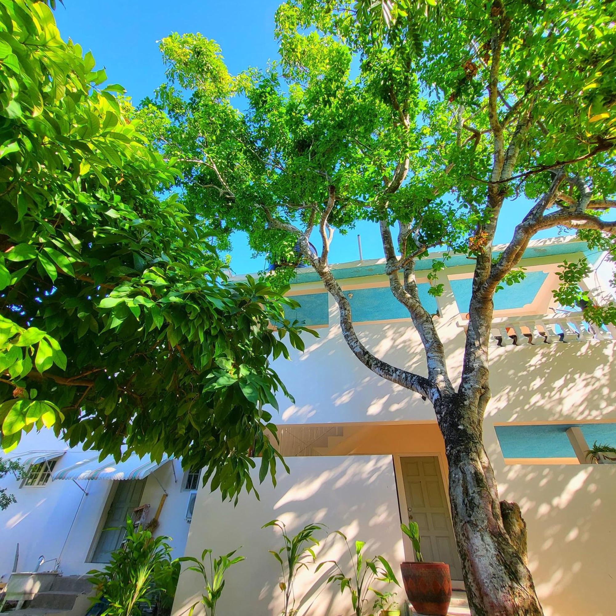 Green'S Palace Jamaica Oracabessa Exterior foto